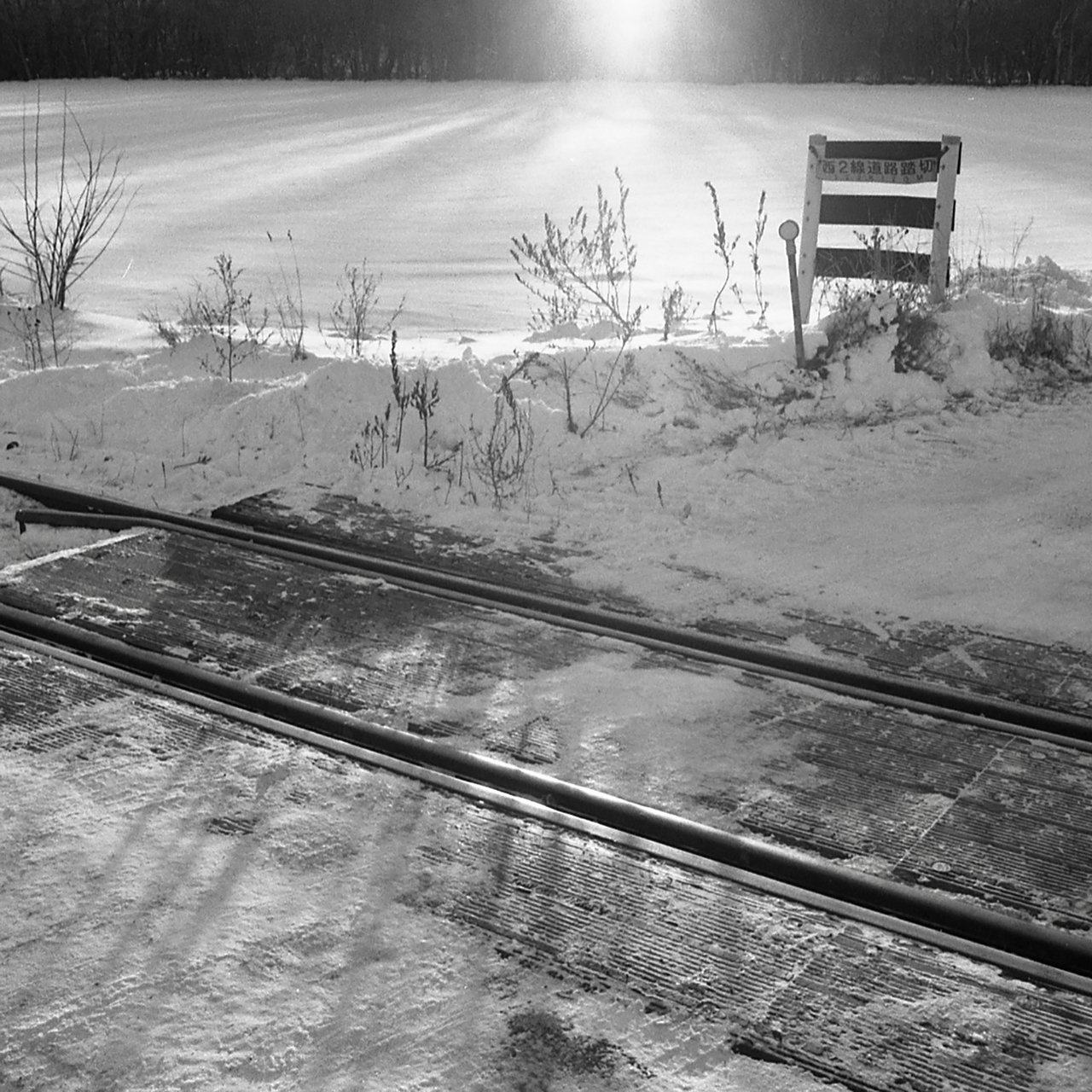 Snow-covered railroad tracks leading to a frozen lake under a bright sun, with a bench and barren plants nearby.