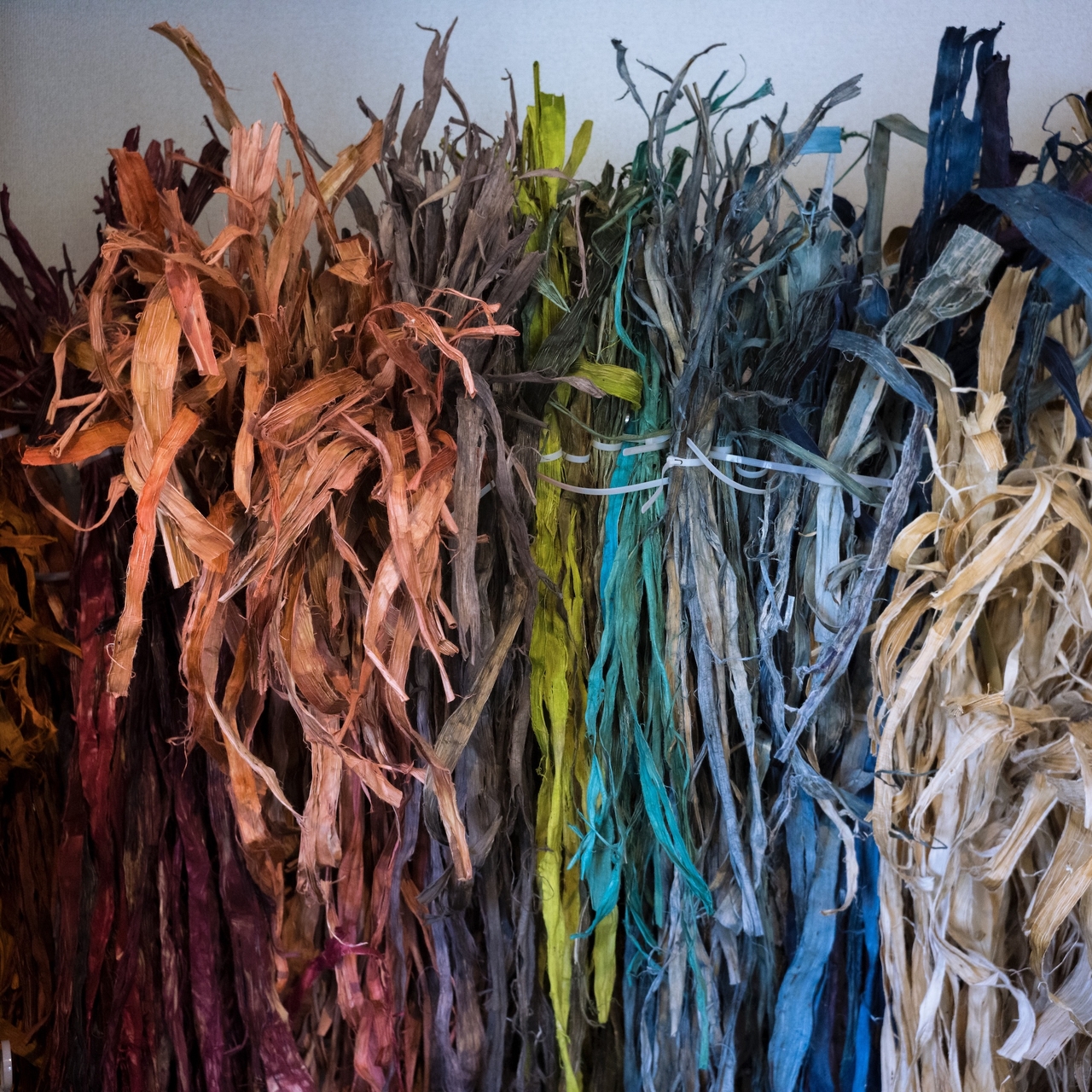 Bundles of colorful, dried plant fibers in shades of orange, brown, green, blue, and beige hanging vertically against a plain background.