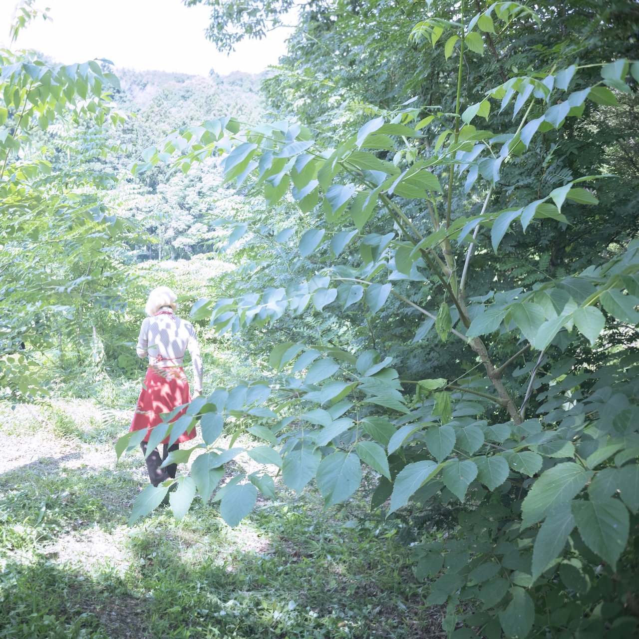 Person in a red skirt walking through a lush, sunlit forest path surrounded by green foliage.