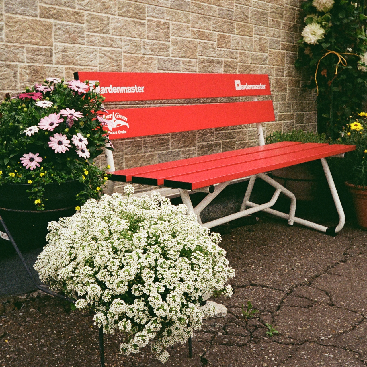 Red bench with "Gardenmaster" branding, surrounded by potted pink and white flowers, against a brick wall.