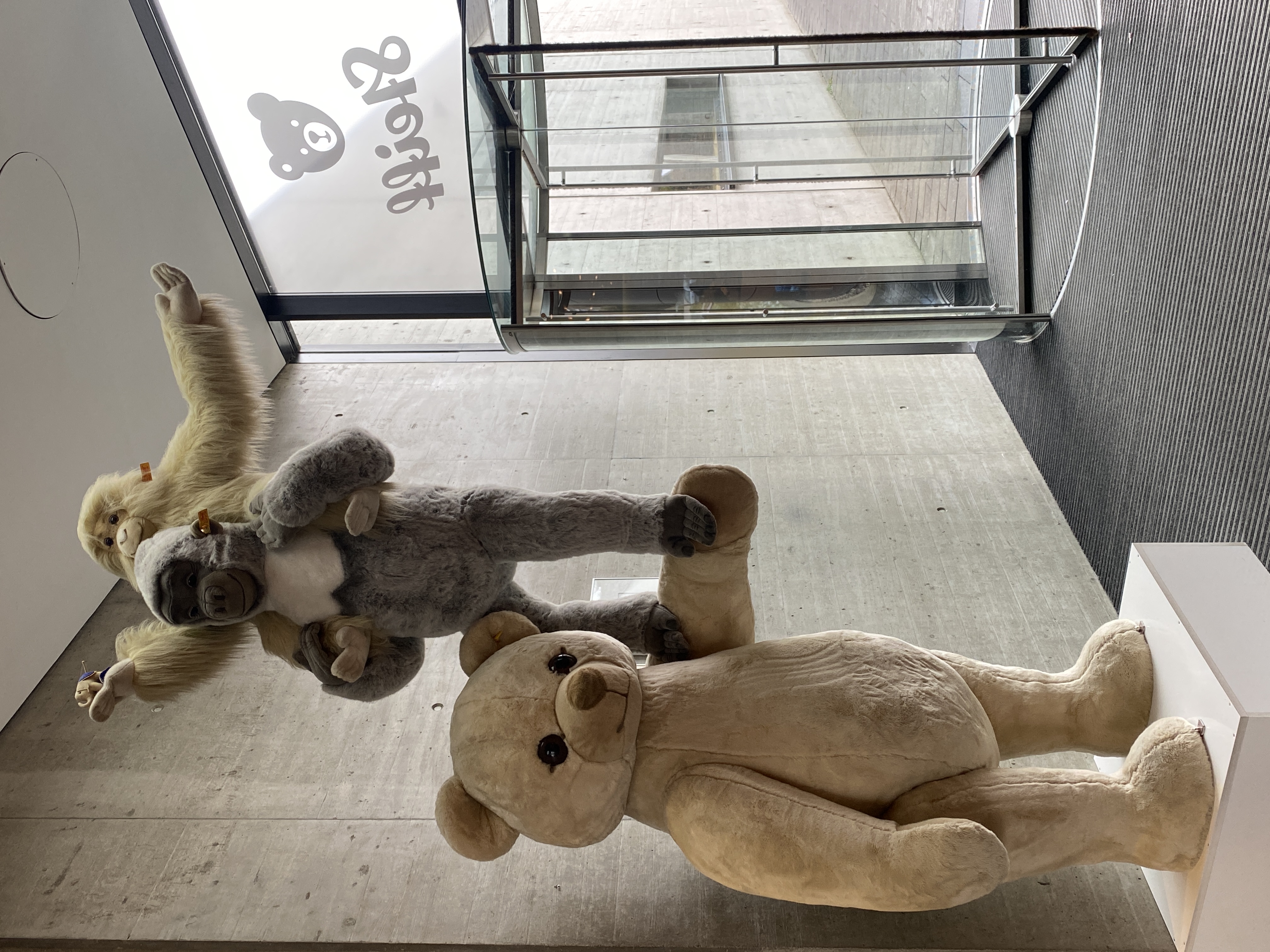 as168♪シュタイフ1996年ドイツ おもちゃのミュージアム25周年記念ベア