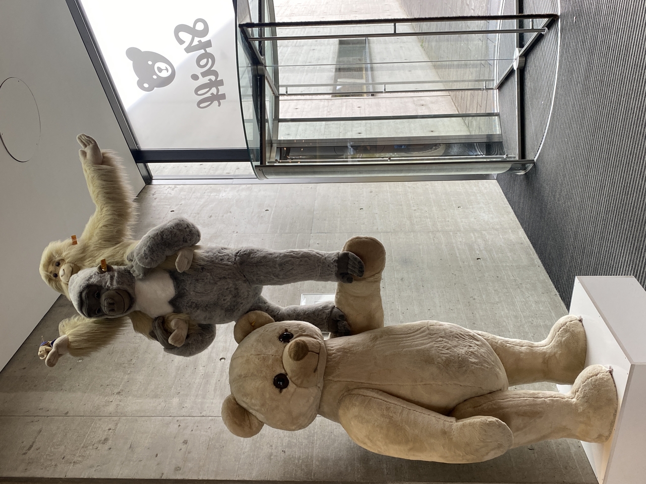 テディベアの故郷：シュタイフ ミュージアムで出会う温かなぬくもり