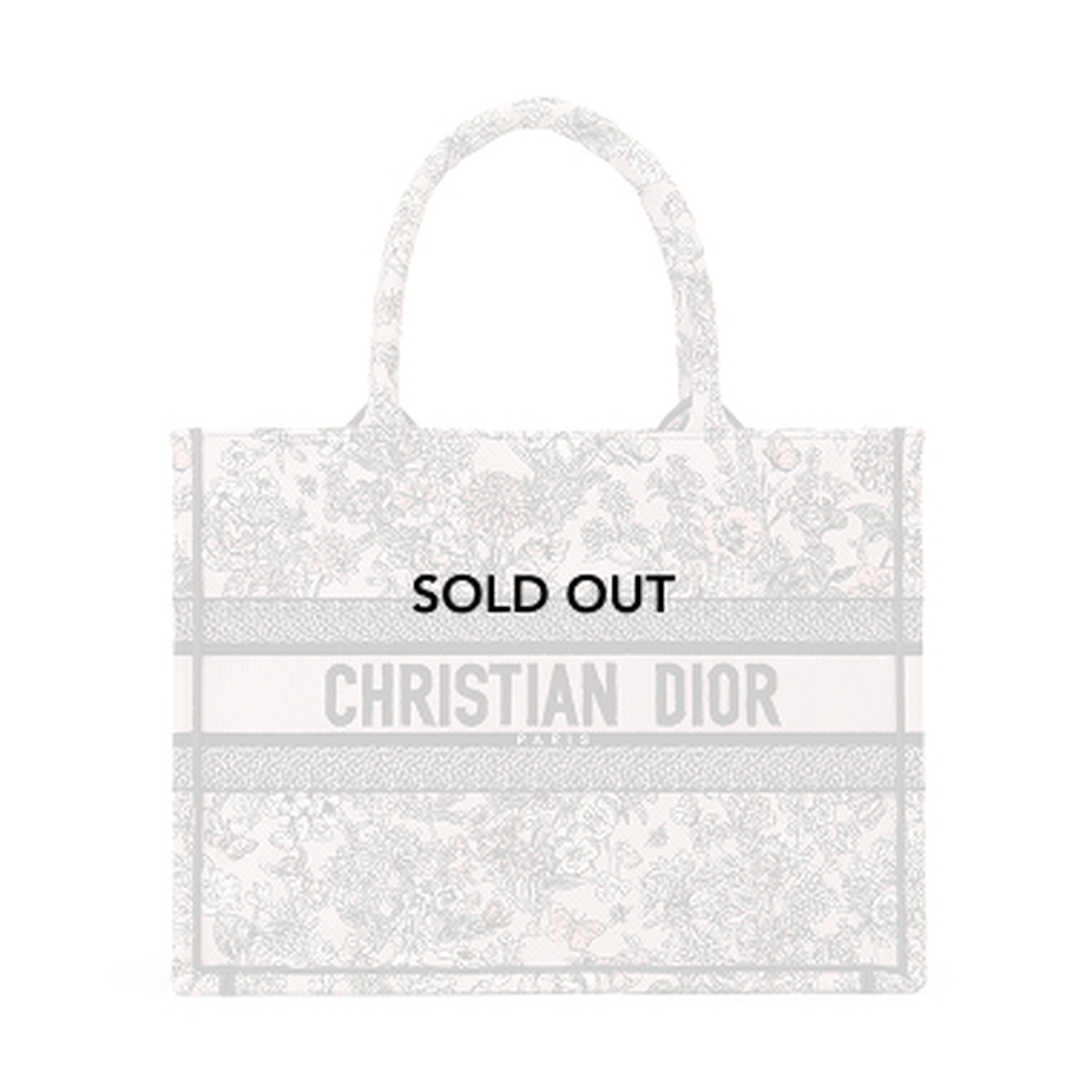 Limited DIOR Book Tote Release | Matsuya Ginza