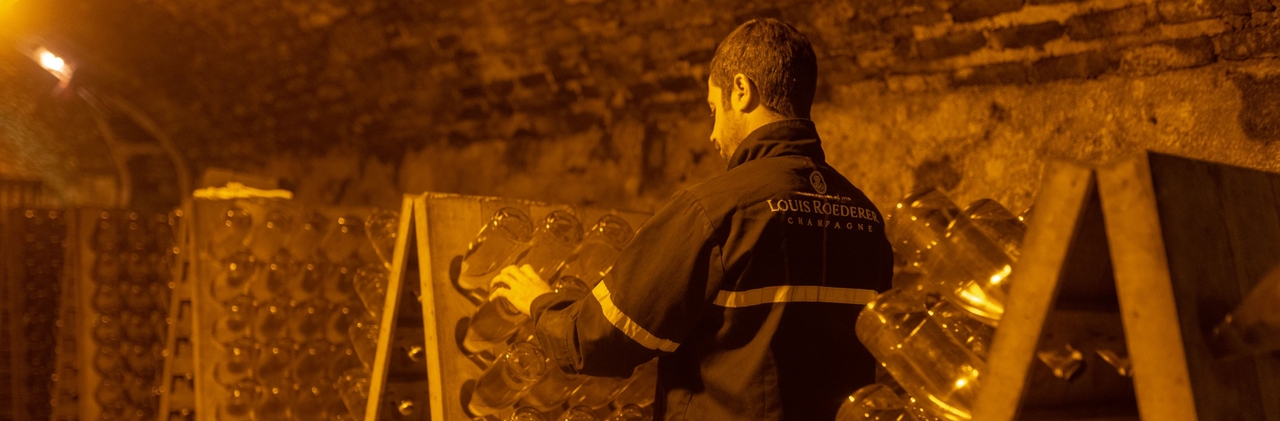 LOUIS ROEDERER FOOD & DRINK Product List | Matsuya Ginza