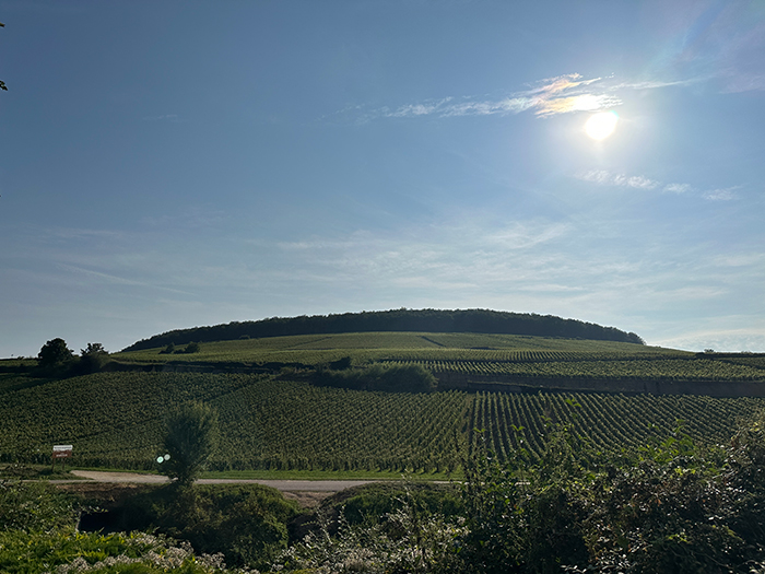 松セン5｜松屋銀座｜パン娘のフランス旅！−松屋銀座 開店100周年記念